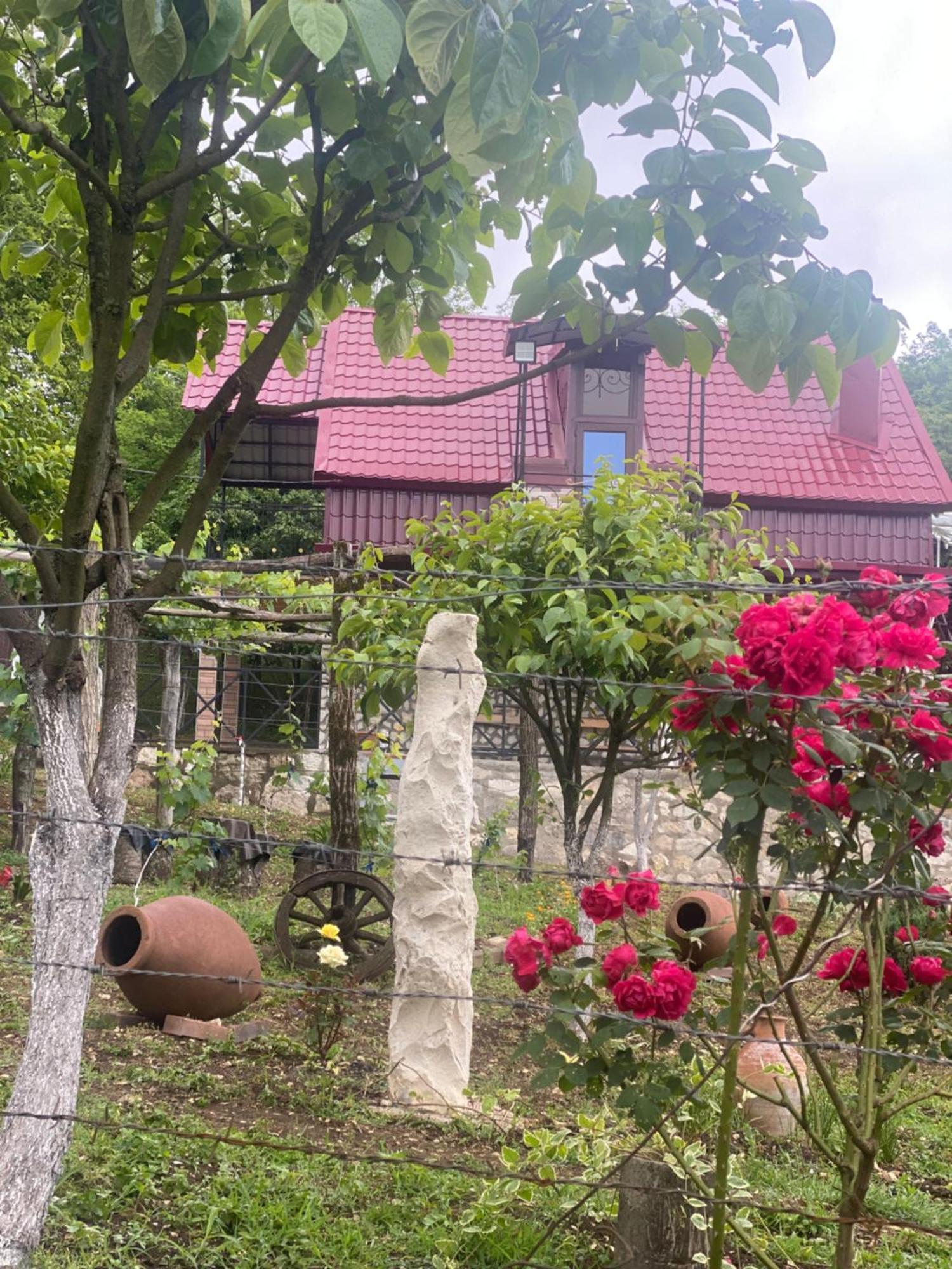 Kirta Hotel Gordi Kültér fotó
