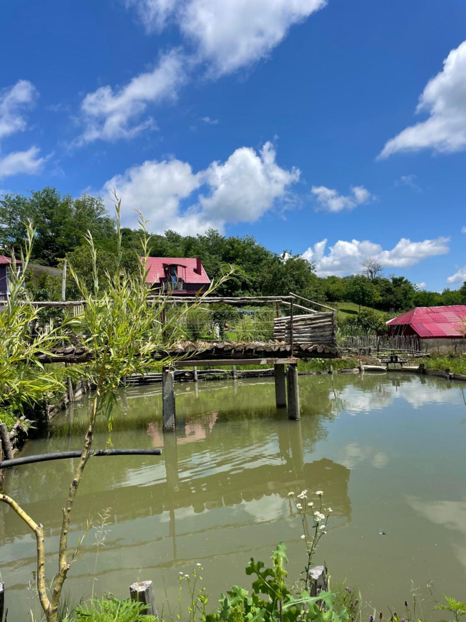 Kirta Hotel Gordi Kültér fotó